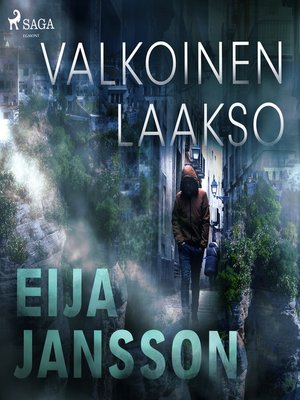 cover image of Valkoinen laakso